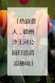 热浪袭人，德州沙王河公园打造清凉秘境
