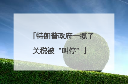 特朗普政府一揽子关税被“叫停”