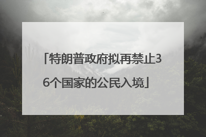 特朗普政府拟再禁止36个国家的公民入境