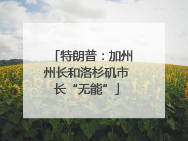特朗普：加州州长和洛杉矶市长“无能”