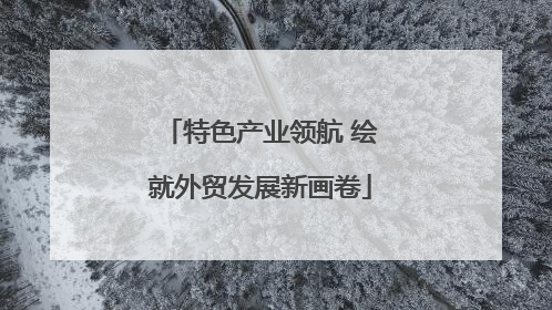 特色产业领航 绘就外贸发展新画卷