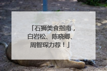 石狮美食指南，白岩松、陈晓卿、周智琛力荐！