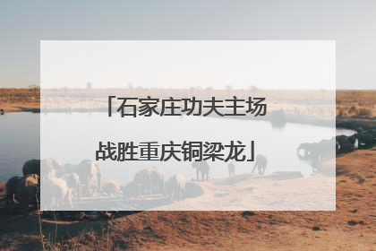 石家庄功夫主场战胜重庆铜梁龙