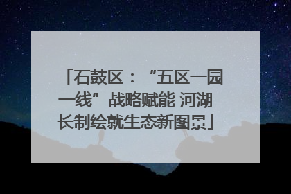 石鼓区：“五区一园一线”战略赋能 河湖长制绘就生态新图景