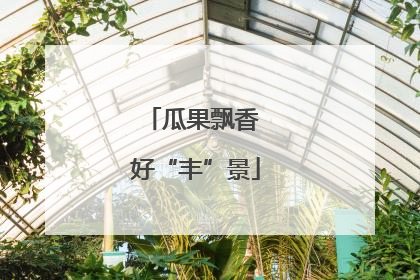 瓜果飘香 好“丰”景