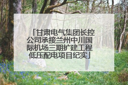 甘肃电气集团长控公司承接兰州中川国际机场三期扩建工程低压配电项目纪实
