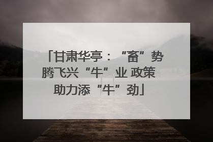 甘肃华亭：“畜”势腾飞兴“牛”业 政策助力添“牛”劲