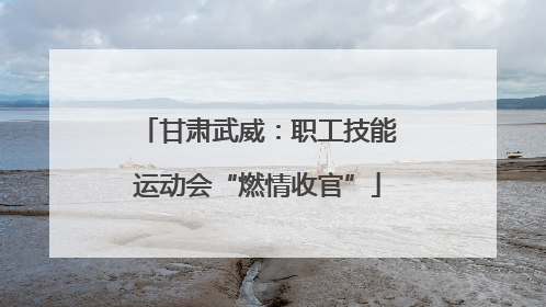 甘肃武威：职工技能运动会“燃情收官”