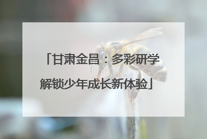 甘肃金昌：多彩研学解锁少年成长新体验