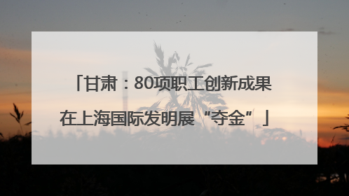 甘肃：80项职工创新成果在上海国际发明展“夺金”