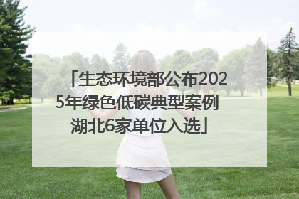 生态环境部公布2025年绿色低碳典型案例 湖北6家单位入选