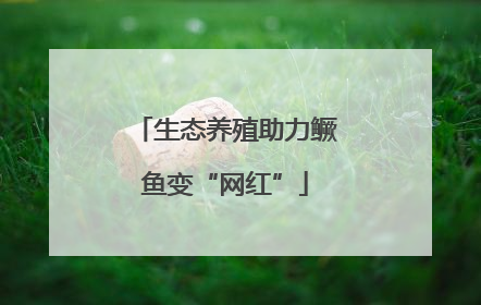 生态养殖助力鳜鱼变“网红”