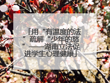 用“有温度的法”疏解“少年的愁”——湖南立法促进学生心理健康