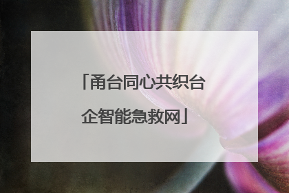 甬台同心共织台企智能急救网