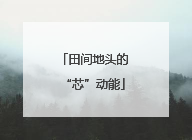 田间地头的“芯”动能