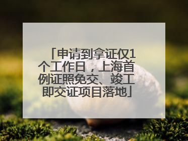 申请到拿证仅1个工作日，上海首例证照免交、竣工即交证项目落地