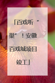 百戏听“巢”！安徽百戏城项目竣工