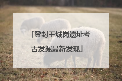登封王城岗遗址考古发掘最新发现