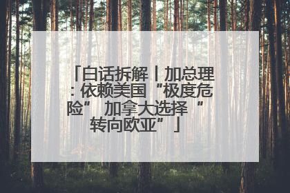 白话拆解丨加总理：依赖美国“极度危险” 加拿大选择“转向欧亚”
