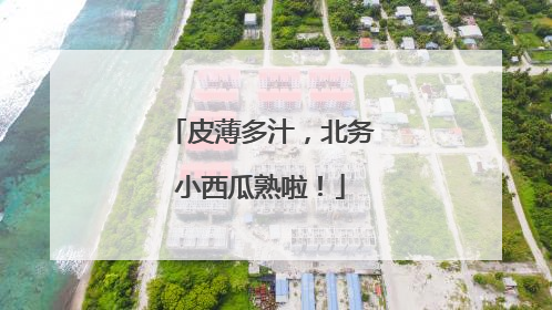 皮薄多汁，北务小西瓜熟啦！