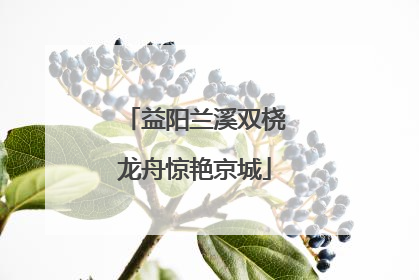 益阳兰溪双桡龙舟惊艳京城