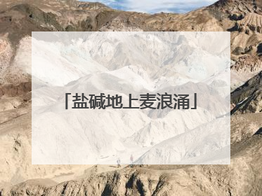 盐碱地上麦浪涌
