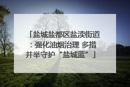 盐城盐都区盐渎街道：强化油烟治理 多措并举守护“盐城蓝”