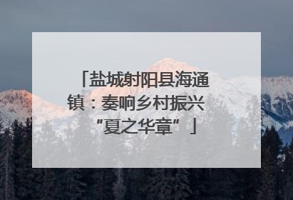 盐城射阳县海通镇：奏响乡村振兴“夏之华章”