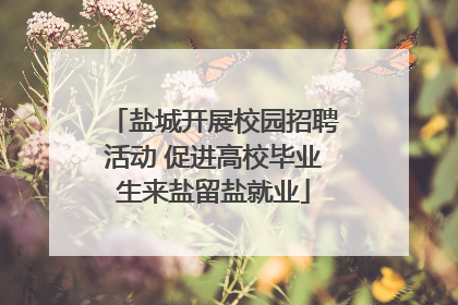 盐城开展校园招聘活动 促进高校毕业生来盐留盐就业