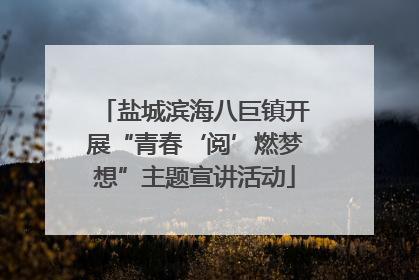 盐城滨海八巨镇开展“青春‘阅’燃梦想”主题宣讲活动