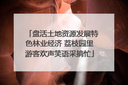 盘活土地资源发展特色林业经济 荔枝园里游客欢声笑语采摘忙