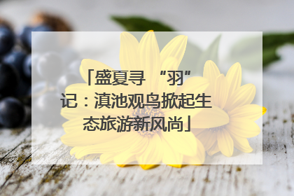 盛夏寻 “羽” 记：滇池观鸟掀起生态旅游新风尚