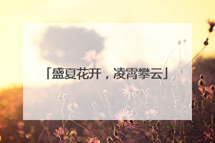 盛夏花开，凌霄攀云
