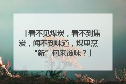 看不见煤炭，看不到焦炭，闻不到味道，煤里烹“新”何来滋味？