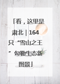 看，这里是肃北｜164只“雪山之王”勾勒生态新图景
