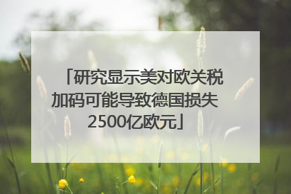 研究显示美对欧关税加码可能导致德国损失2500亿欧元