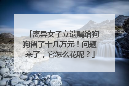 离异女子立遗嘱给狗狗留了十几万元！问题来了，它怎么花呢？
