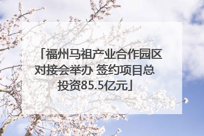 福州马祖产业合作园区对接会举办 签约项目总投资85.5亿元