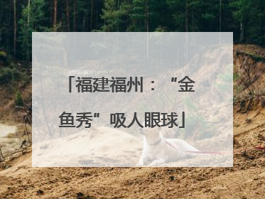 福建福州：“金鱼秀”吸人眼球