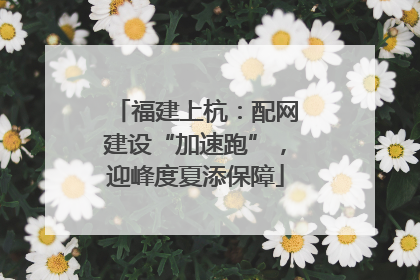 福建上杭：配网建设“加速跑”，迎峰度夏添保障
