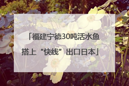 福建宁德30吨活水鱼搭上“快线”出口日本