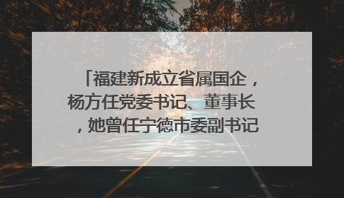 福建新成立省属国企，杨方任党委书记、董事长，她曾任宁德市委副书记｜张田怡已任县委副书记、县政府党组书记