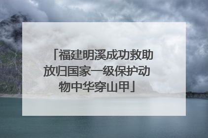 福建明溪成功救助放归国家一级保护动物中华穿山甲
