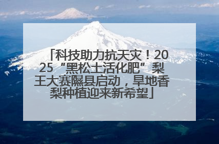 科技助力抗天灾！2025“黑松土活化肥”梨王大赛隰县启动，旱地香梨种植迎来新希望