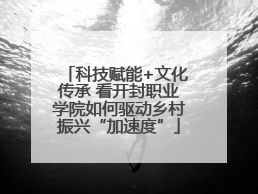 科技赋能+文化传承 看开封职业学院如何驱动乡村振兴“加速度”