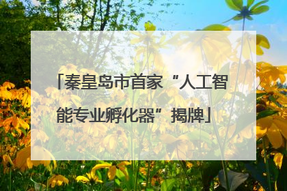 秦皇岛市首家“人工智能专业孵化器”揭牌