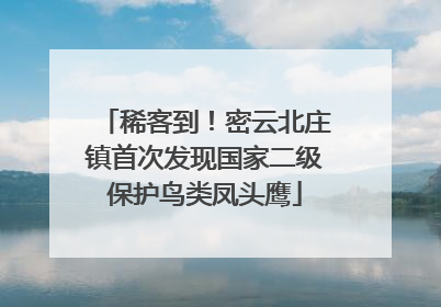稀客到！密云北庄镇首次发现国家二级保护鸟类凤头鹰