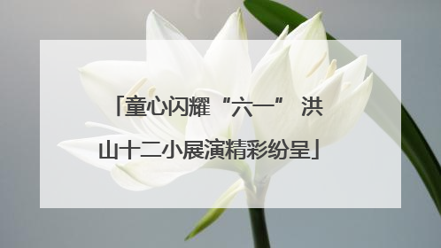 童心闪耀“六一” 洪山十二小展演精彩纷呈