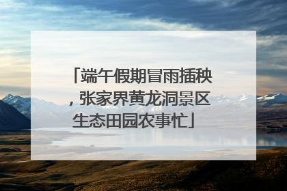 端午假期冒雨插秧，张家界黄龙洞景区生态田园农事忙