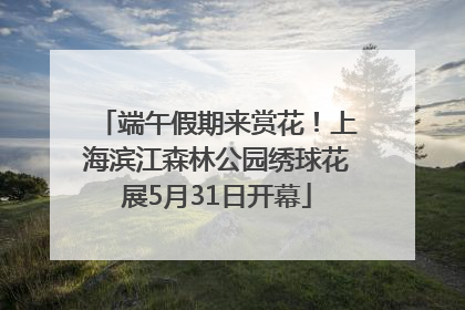 端午假期来赏花！上海滨江森林公园绣球花展5月31日开幕